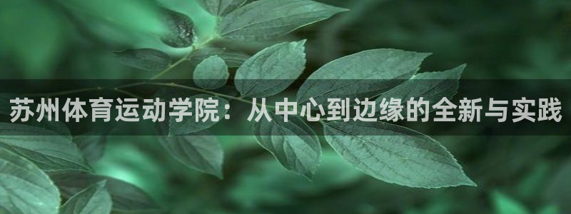98体育直播间