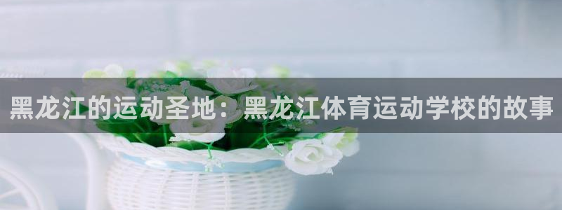 98体育直播免费的平台：黑龙江的运动圣地：黑龙江体育运动学校的故事