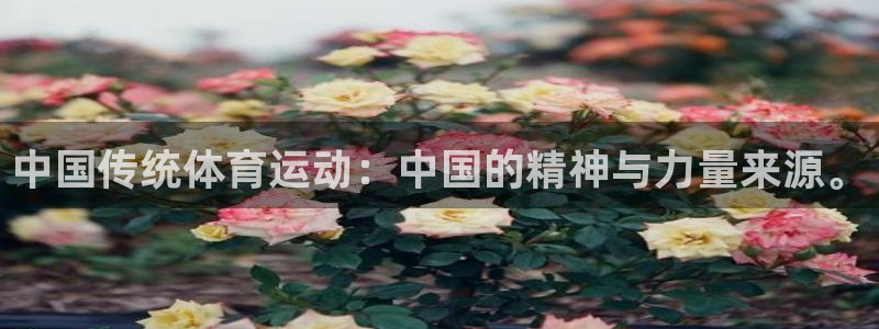 98体育NBA直播