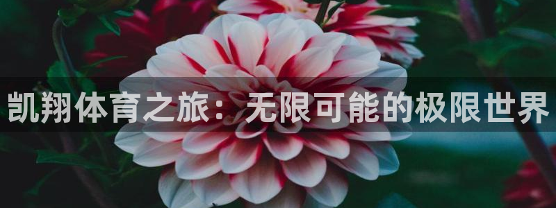 98体育免费直播：凯翔体育之旅：无限可能的极限世界