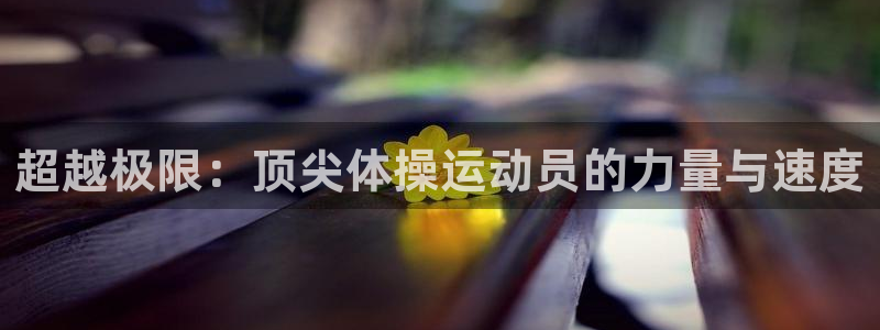 98体育网