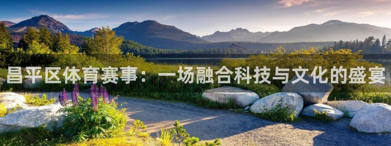 98体育篮球直播：昌平区体育赛事：一场融合科技与文化的盛宴