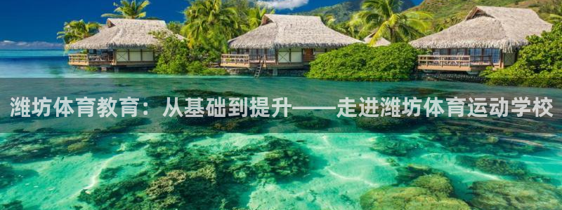 98体育官网